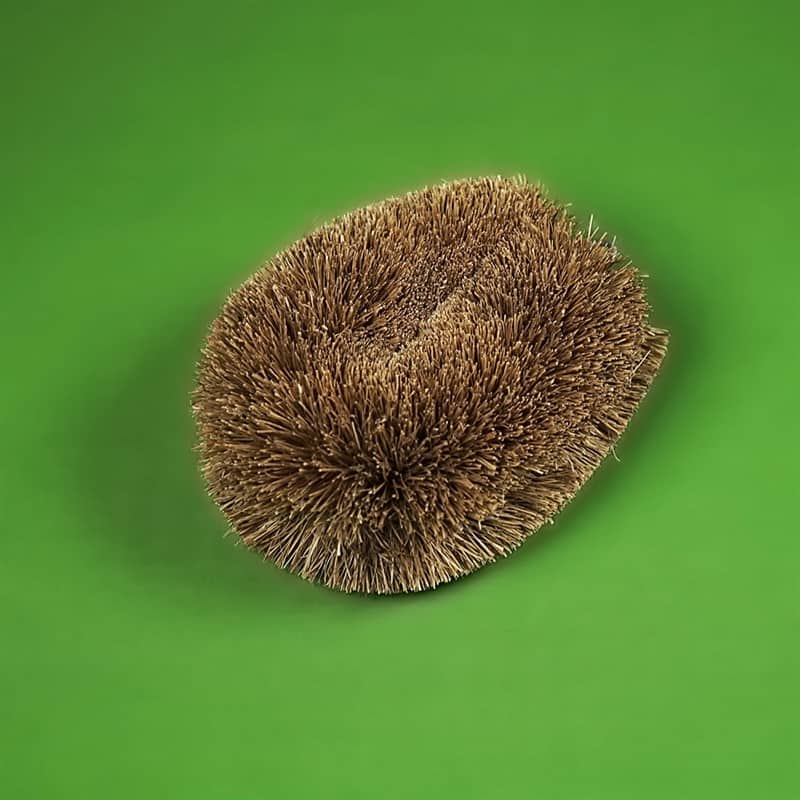 Natural coir coconut tawashi brush scrubber