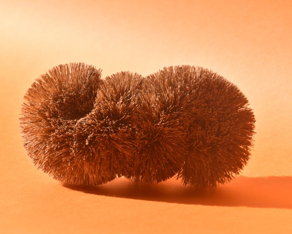 Plastic-free coconut coir mug brush